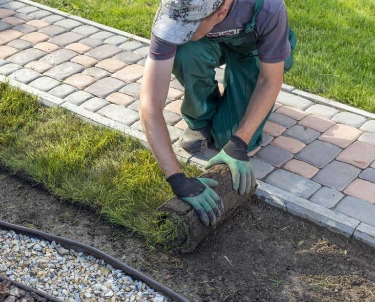 Worker laying sod next to pathway