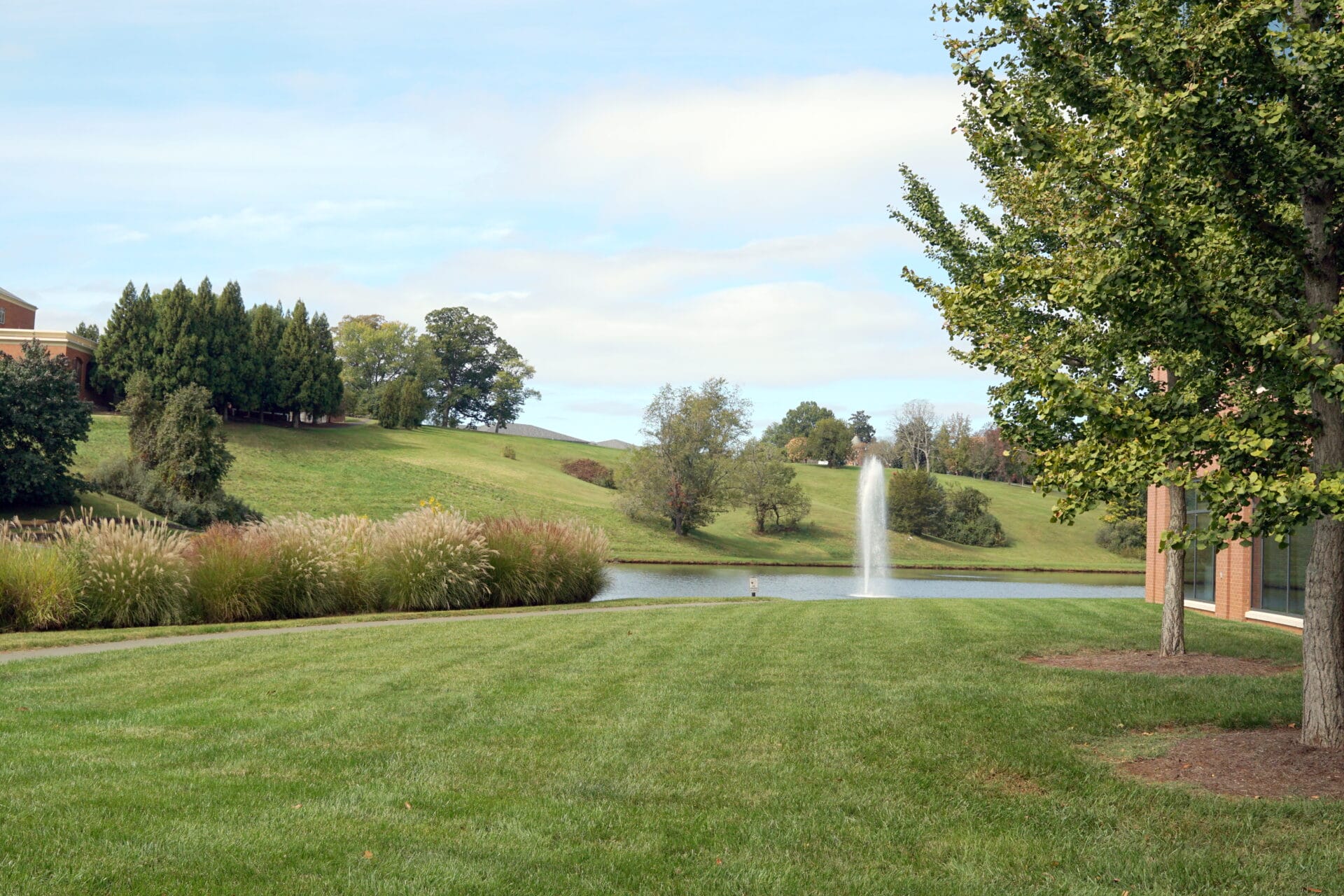 Scenic park with trees, grass, and fountain.