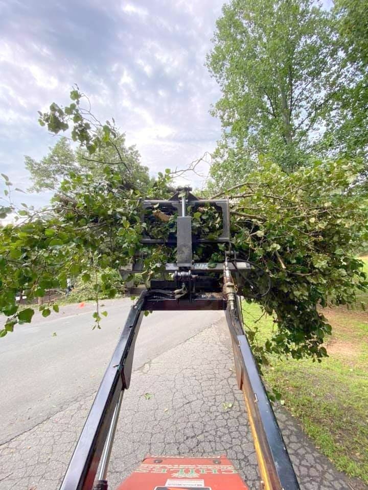 Tractor carrying large pile of tree branches