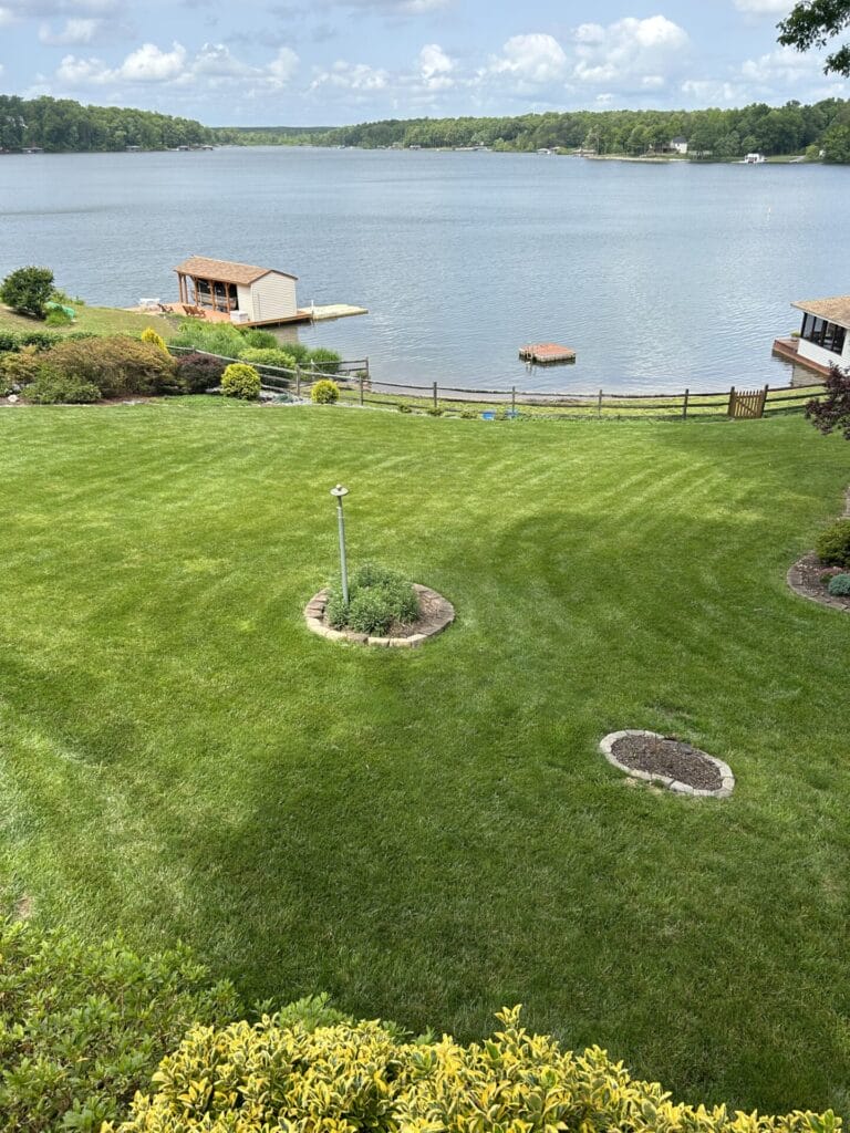 Lush lakeside lawn with dock and blue sky.