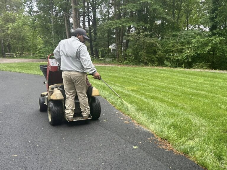 Man mowing lawn near paved driveway, green trees background.