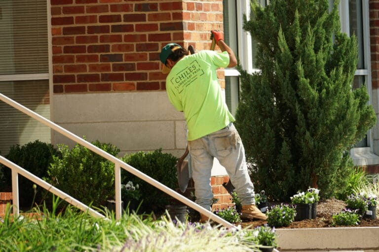Landscaper planting flowers near brick building.