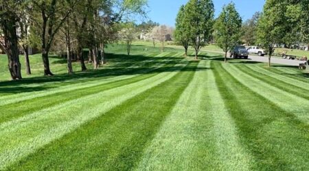 Manicured lawn with striped grass pattern
