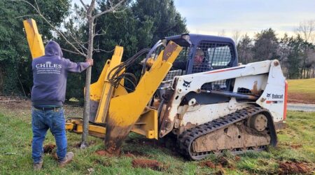 Tree planting with machinery and worker assistance.