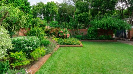 Lush garden with green grass and colorful flowers.