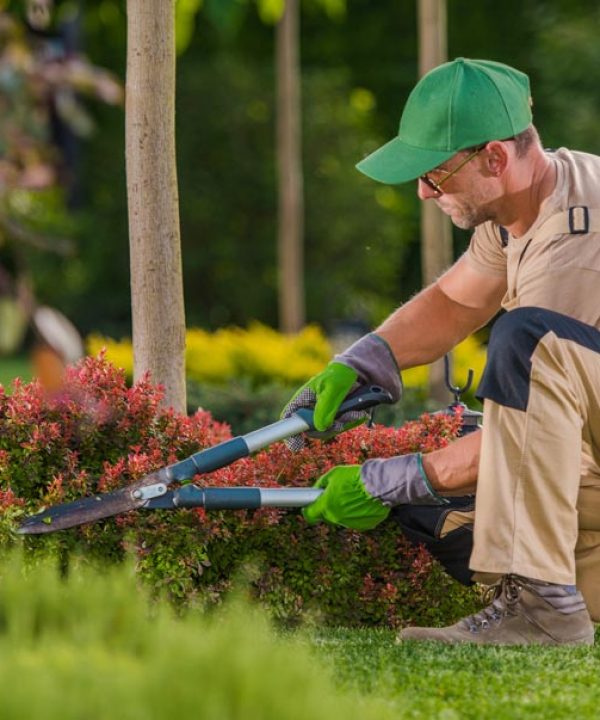 landscaper