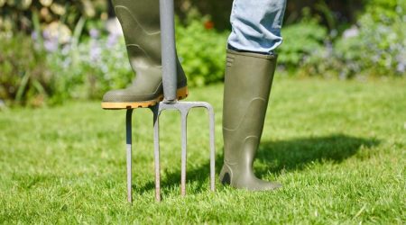 lawn-aeration-820w