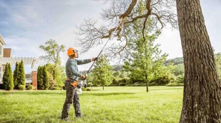 Person trimming tree branches with pole saw outdoors.